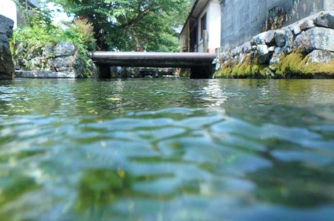 E・ファシリティーズ